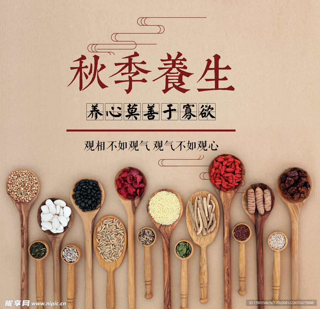 五谷杂粮海报 谷物 豆豆素材