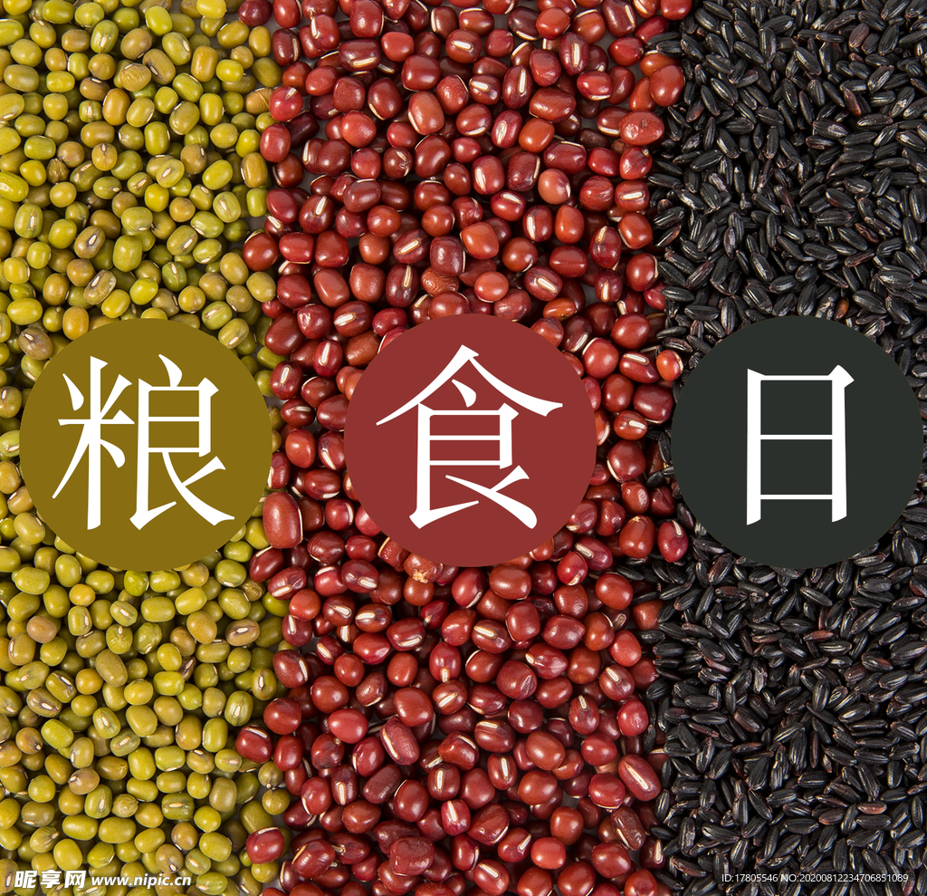 五谷杂粮海报 谷物 豆豆素材