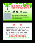 种子名片