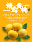 黄桃海报