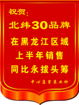 锦旗模板