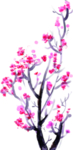 花树
