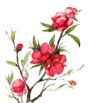 花