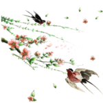 花枝