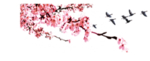 花枝