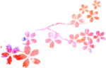 花朵