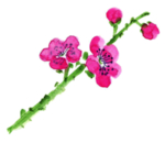 花