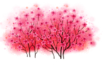 花树