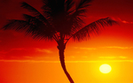 夕阳
