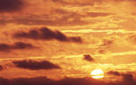 夕阳