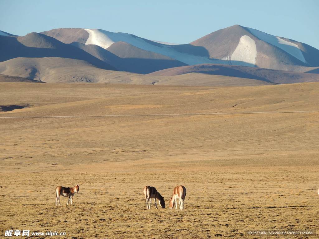 风景 度假 旅游 景色 游玩