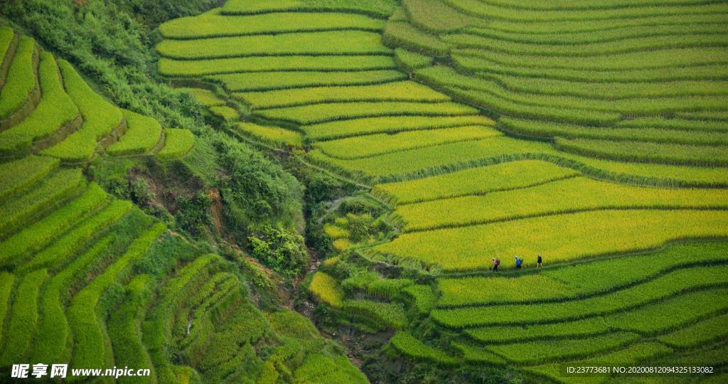 风景 度假 旅游 景色 游玩