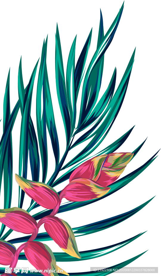 插画绿叶png