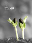 成果