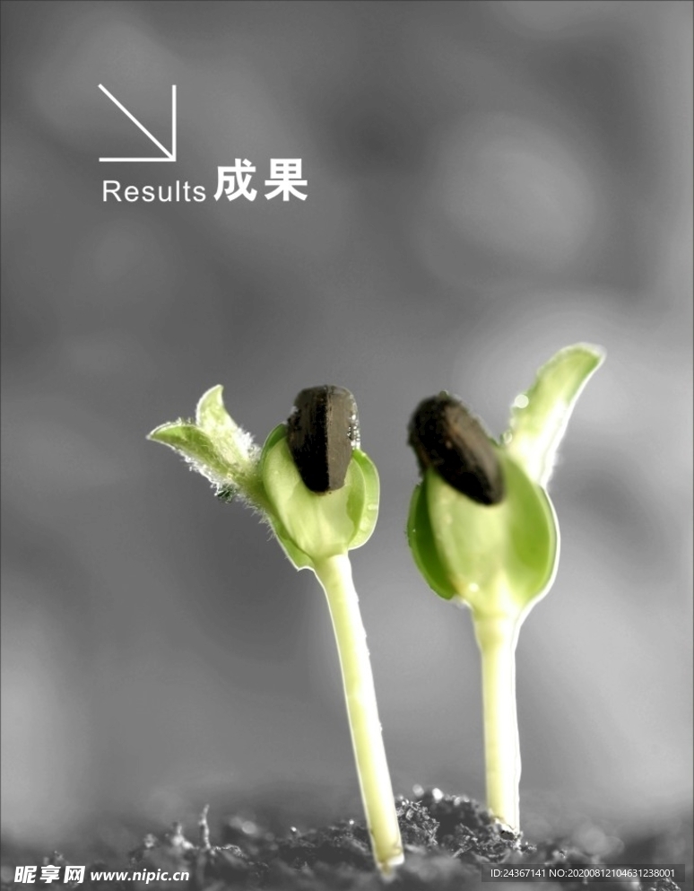 成果
