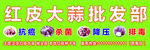 红皮大蒜海报