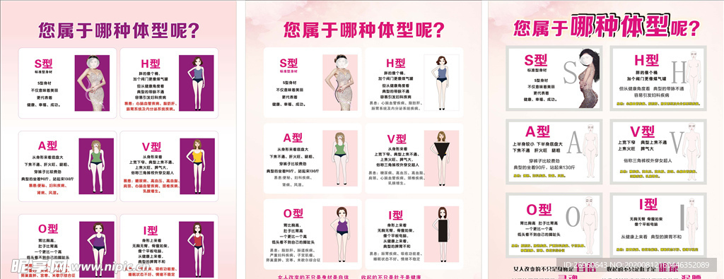 体型分析图