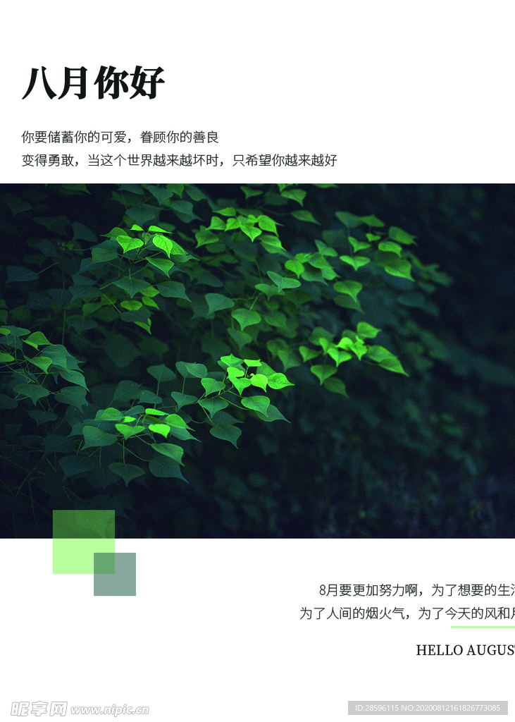 八月