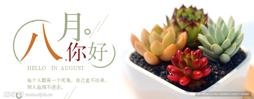 八月