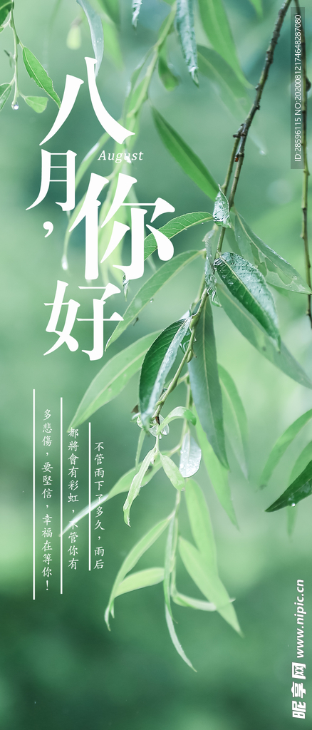 八月