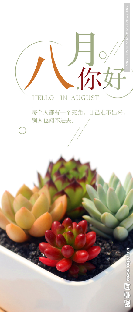八月