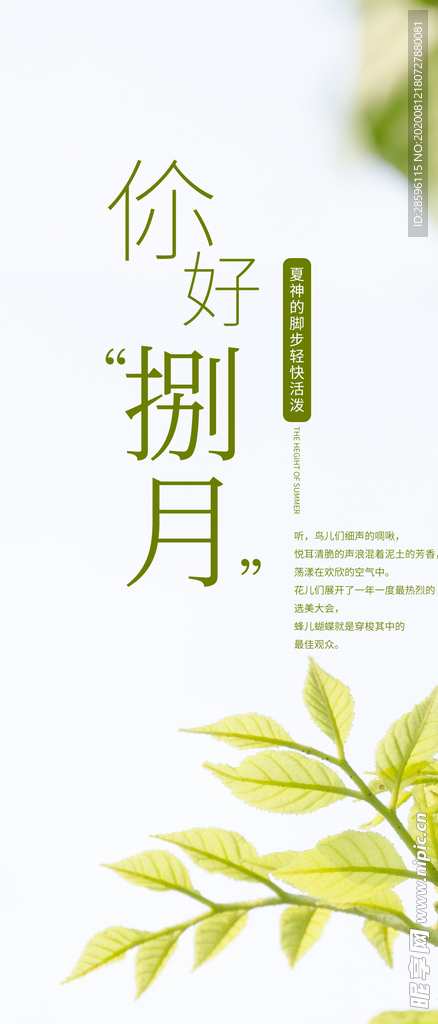 八月