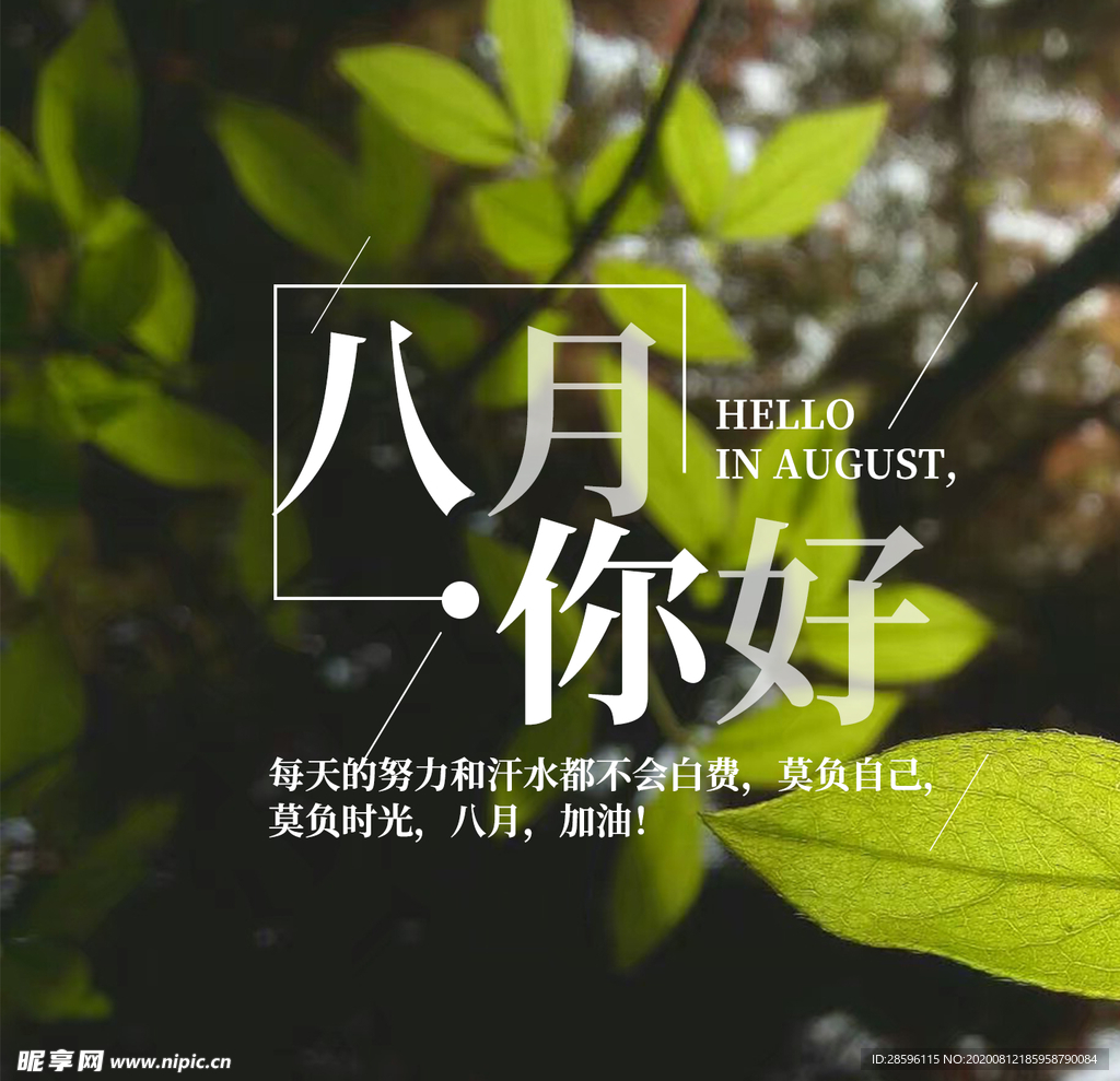 八月