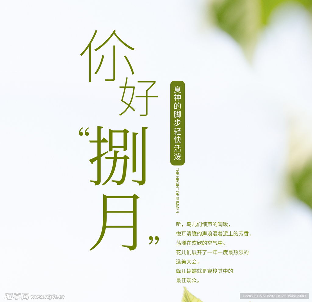 八月