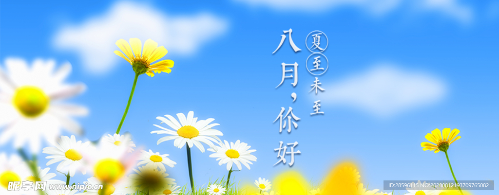 八月