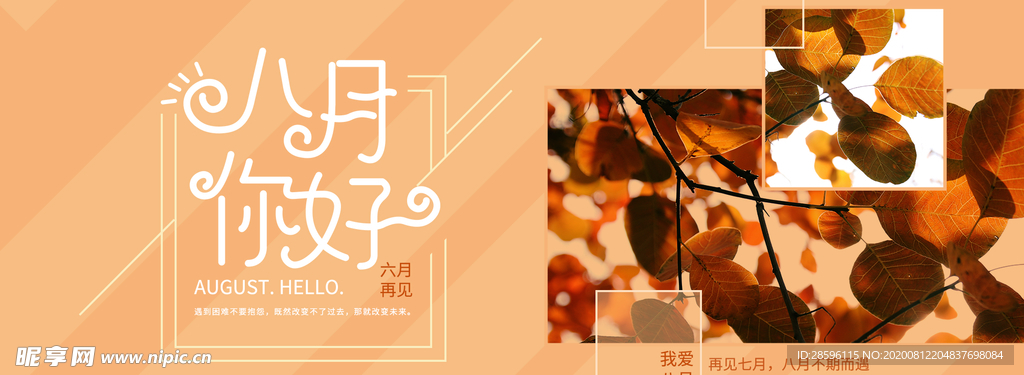 八月