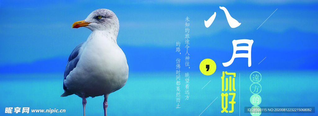 八月