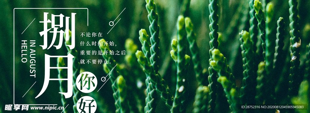 八月