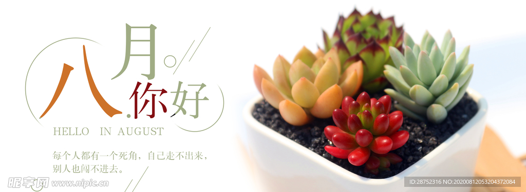 八月
