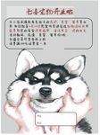 宠物店开业