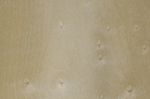 木纹