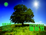 植树节蓝天草地创意公益海报