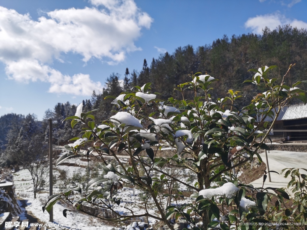 下雪过后的家乡