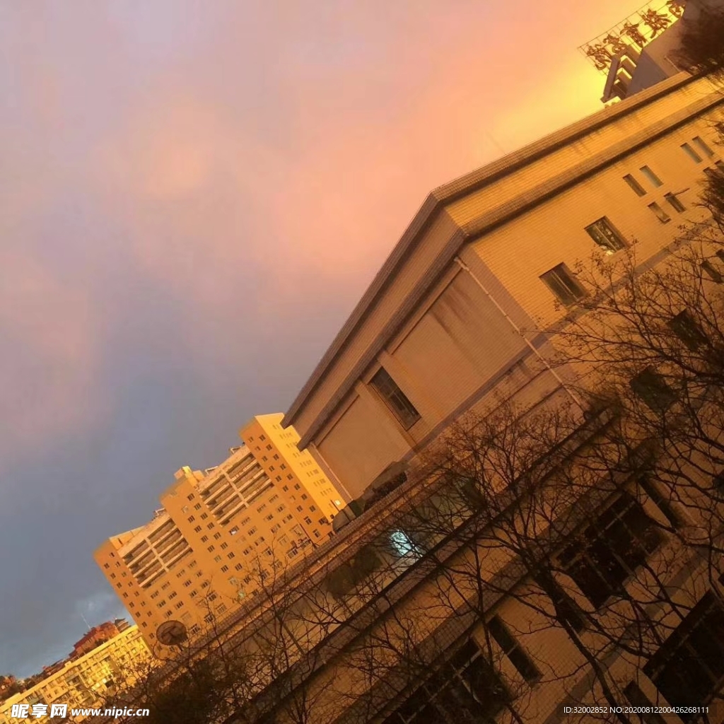 雨后师大