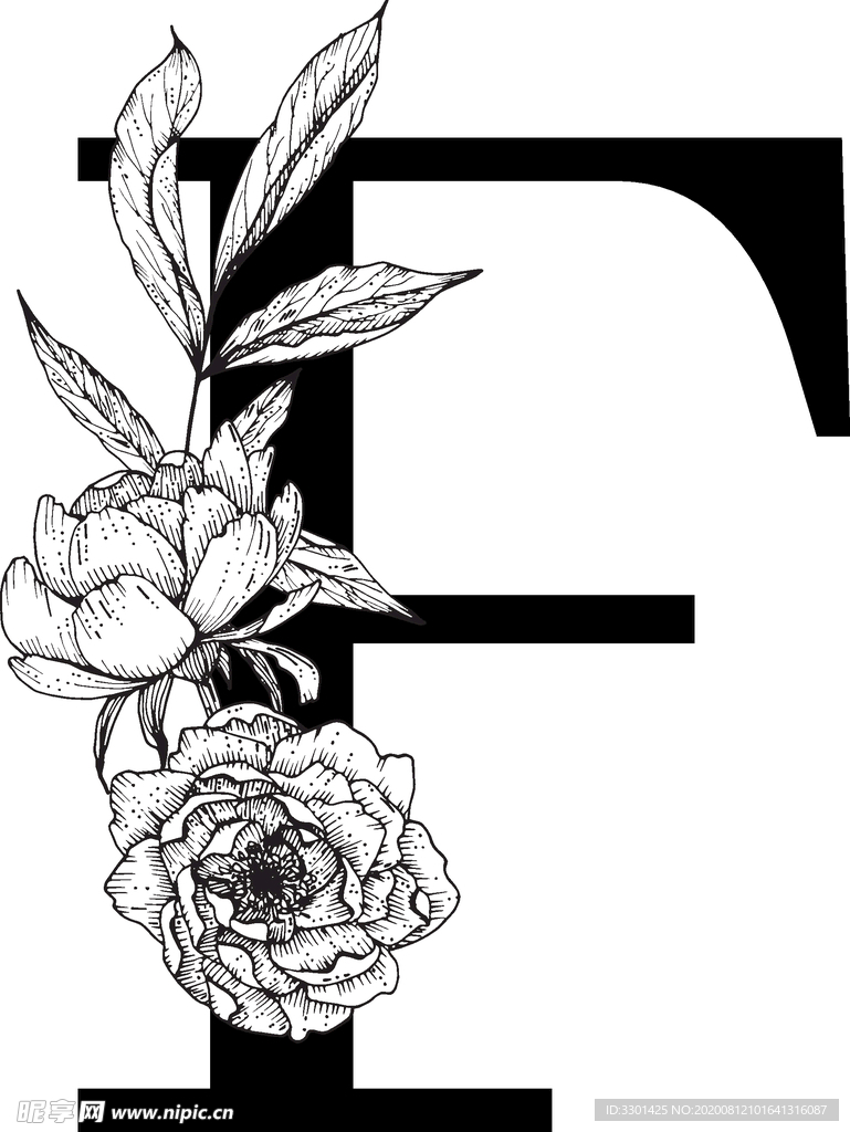花卉装饰字母 字母F