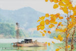 草木布条纹