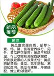 黄瓜简介