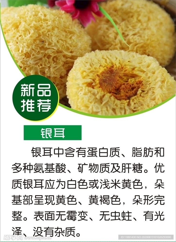 银耳简介