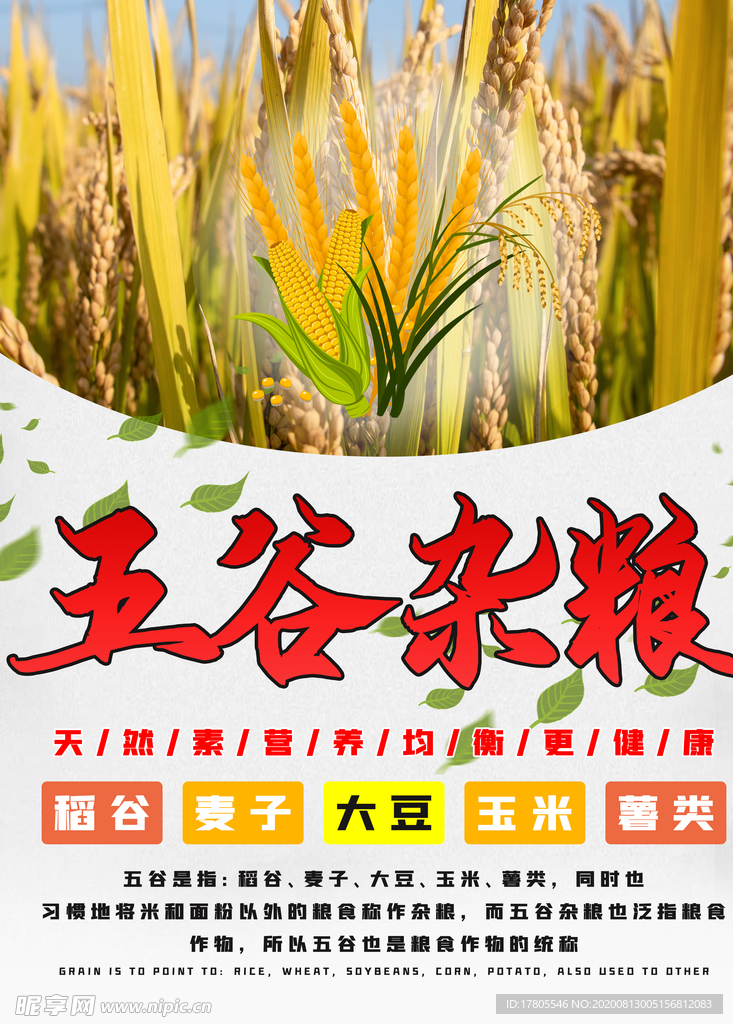 五谷杂粮海报 谷物 豆豆素材
