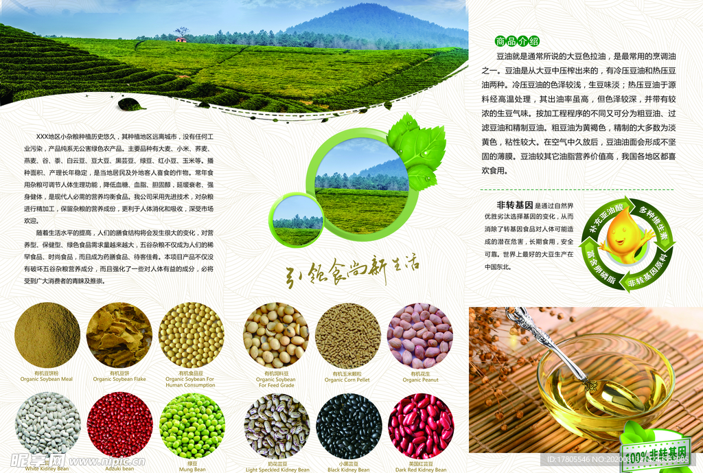 五谷杂粮海报 谷物 豆豆素材