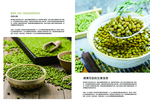 五谷杂粮海报 谷物 豆豆素材