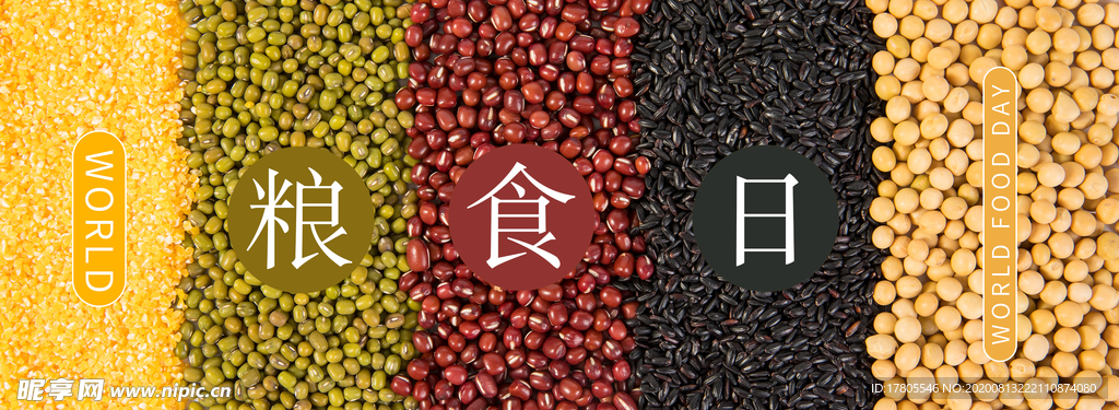 五谷杂粮海报 谷物 豆豆素材