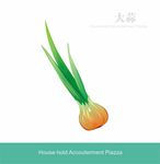 蔬菜主题矢量