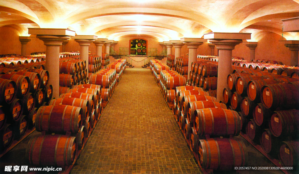 酒窖 葡萄