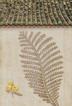 叶子