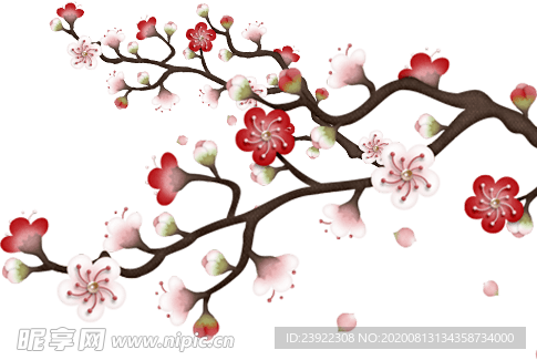 腊梅png